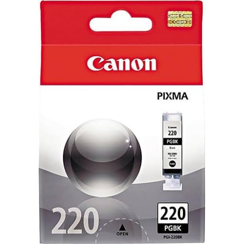 Canon PG-210 XL - 15 ml - Extr