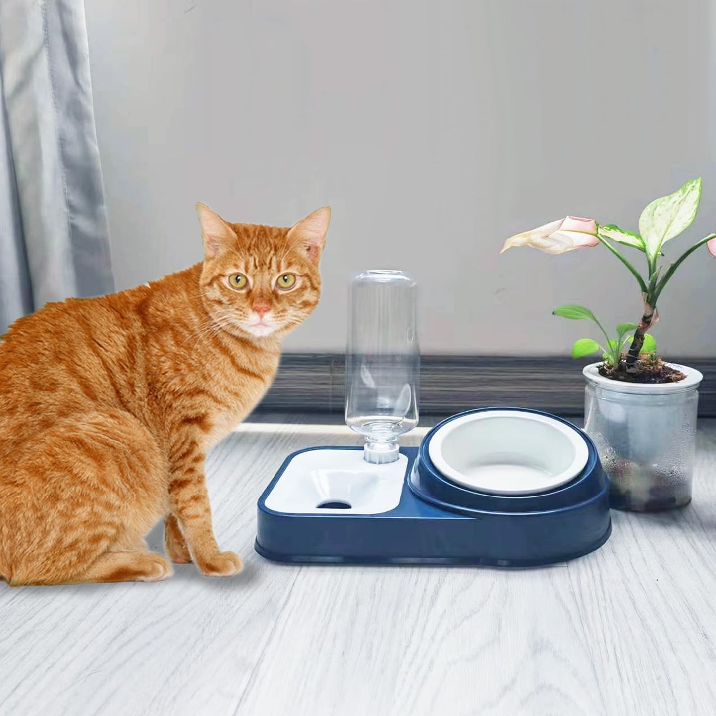 Cat Food Bowl Set, Feeding Cat Bowl for Food and Water, Automatic Water Bottle, 15 Tilted Pet Bowl,Food Feeding Tray for Cats and Dogs Puppy -SkyBlue