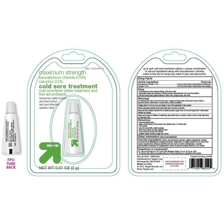 Cold Sore Treatment 0.07oz - up&up™