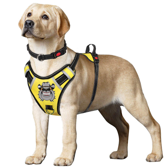 TIANYAO Dog Harness No-Pull Dog Vest Set Reflective Adjustable Oxford Material Pet Harness for Medium Large Dogs with Leash and Collar (Large(Chest:25-35"), Yellow)