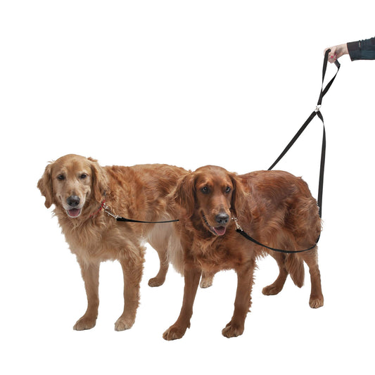 FurHaven Pet Dog Leash | Two Tails Walking Double Dog Pet Leash, Black