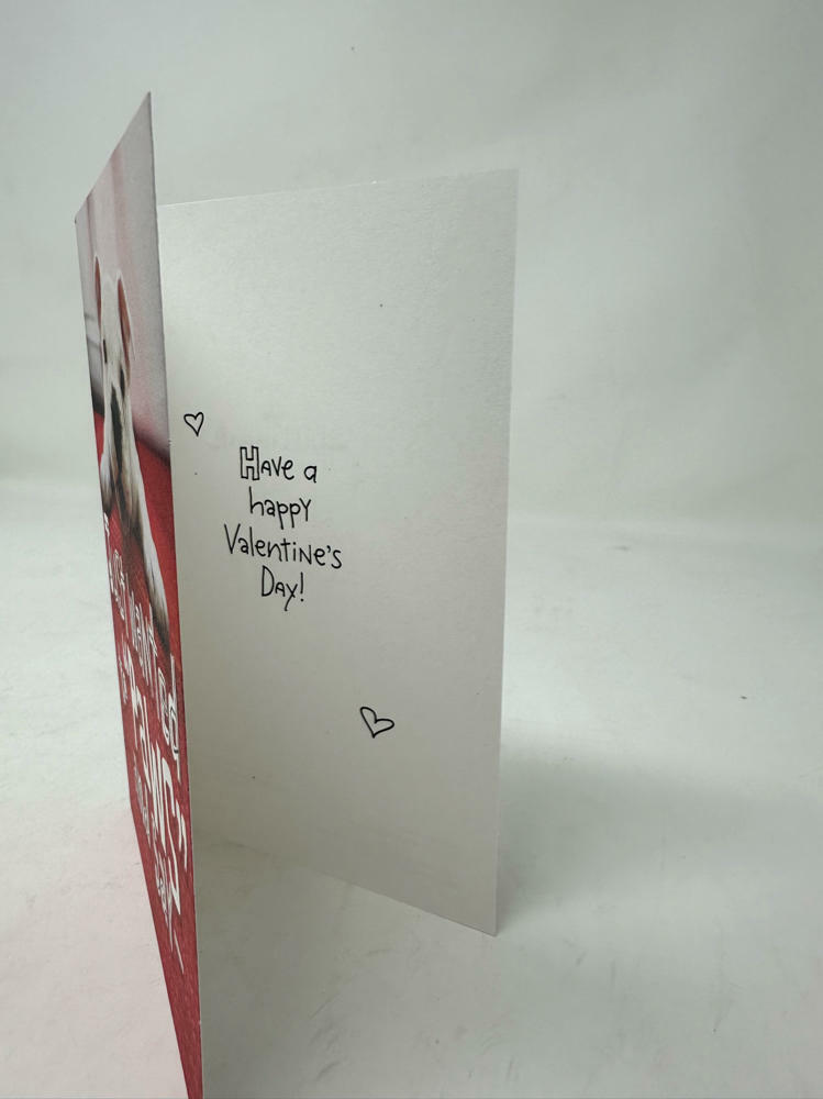 Valentines Day Cards, Puppy Paws (36 Cards with Envelopes)