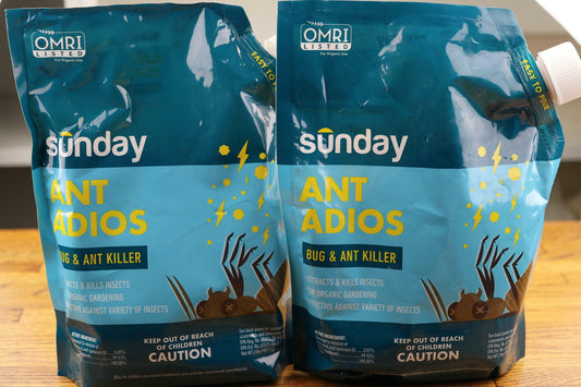2 Pack Sunday Ant Adios - Insect & Ant Killer Outdoor Uses Spinosad to Eliminate
